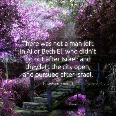 Picture 05 - Joshua 8:17 WEB - There was not a man left in Ai or Beth El, who - Bible Verse Picture