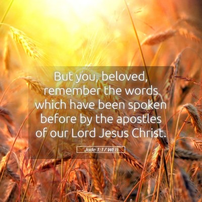 Picture 05 - Jude 1:17 WEB - But you, beloved, remember the words which have - Bible Verse Picture