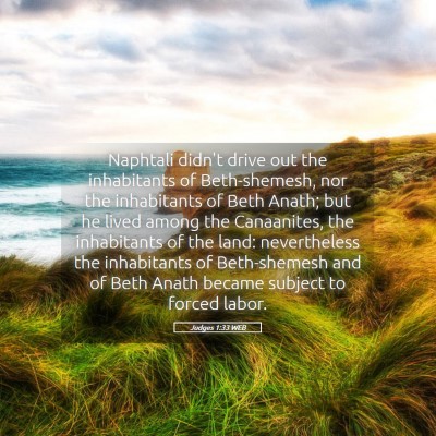 Picture 05 - Judges 1:33 WEB - Naphtali didn't drive out the inhabitants of - Bible Verse Picture