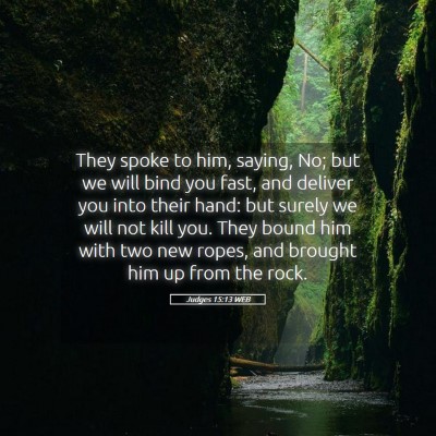 Picture 05 - Judges 15:13 WEB - They spoke to him, saying, No; but we will bind - Bible Verse Picture