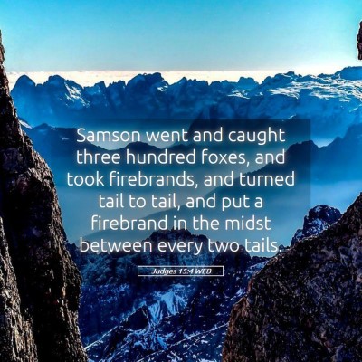 Picture 05 - Judges 15:4 WEB - Samson went and caught three hundred foxes, and - Bible Verse Picture