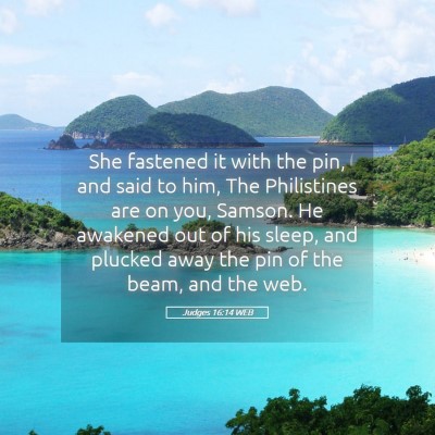 Picture 05 - Judges 16:14 WEB - She fastened it with the pin, and said to him, - Bible Verse Picture