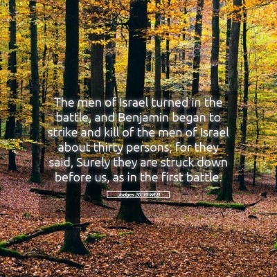 Picture 05 - Judges 20:39 WEB - The men of Israel turned in the battle, and - Bible Verse Picture