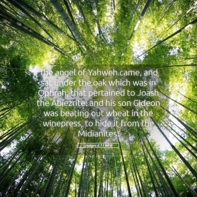 Picture 05 - Judges 6:11 WEB - The angel of Yahweh came, and sat under the oak - Bible Verse Picture