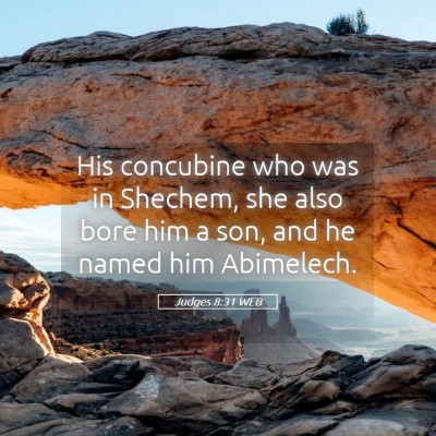 Picture 05 - Judges 8:31 WEB - His concubine who was in Shechem, she also bore - Bible Verse Picture