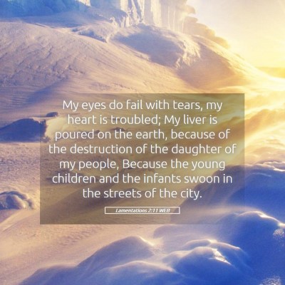 Picture 05 - Lamentations 2:11 WEB - My eyes do fail with tears, my heart is troubled; - Bible Verse Picture