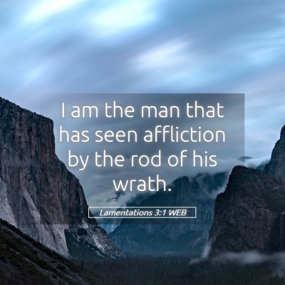 Picture 05 - Lamentations 3:1 WEB - I am the man that has seen affliction by the rod - Bible Verse Picture