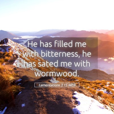 Picture 05 - Lamentations 3:15 WEB - He has filled me with bitterness, he has sated me - Bible Verse Picture