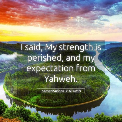 Picture 05 - Lamentations 3:18 WEB - I said, My strength is perished, and my - Bible Verse Picture