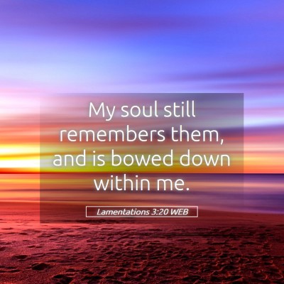 Picture 05 - Lamentations 3:20 WEB - My soul still remembers them, and is bowed down - Bible Verse Picture