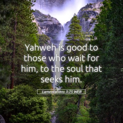Picture 05 - Lamentations 3:25 WEB - Yahweh is good to those who wait for him, to the - Bible Verse Picture
