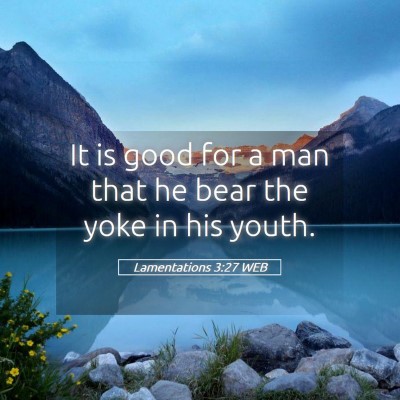 Picture 05 - Lamentations 3:27 WEB - It is good for a man that he bear the yoke in his - Bible Verse Picture