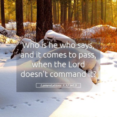 Picture 05 - Lamentations 3:37 WEB - Who is he who says, and it comes to pass, when - Bible Verse Picture