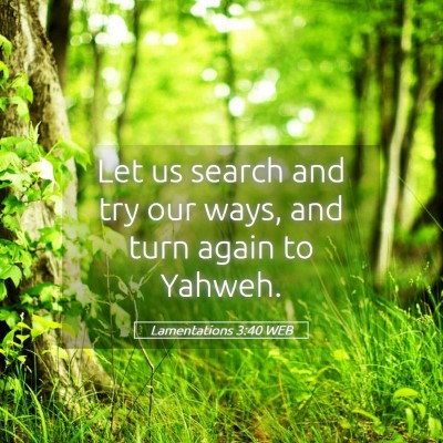 Picture 05 - Lamentations 3:40 WEB - Let us search and try our ways, and turn again to - Bible Verse Picture