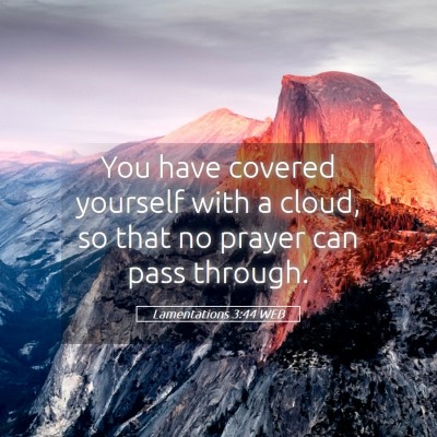 Picture 05 - Lamentations 3:44 WEB - You have covered yourself with a cloud, so that - Bible Verse Picture