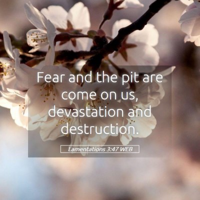 Picture 05 - Lamentations 3:47 WEB - Fear and the pit are come on us, devastation and - Bible Verse Picture