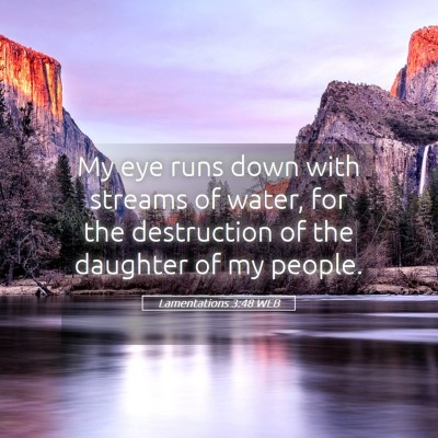 Picture 05 - Lamentations 3:48 WEB - My eye runs down with streams of water, for the - Bible Verse Picture