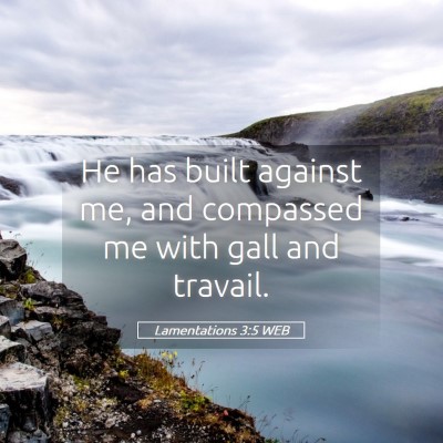 Picture 05 - Lamentations 3:5 WEB - He has built against me, and compassed me with - Bible Verse Picture