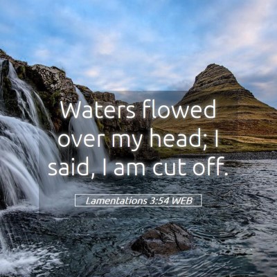 Picture 05 - Lamentations 3:54 WEB - Waters flowed over my head; I said, I am cut - Bible Verse Picture