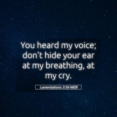 Picture 05 - Lamentations 3:56 WEB - You heard my voice; don't hide your ear at my - Bible Verse Picture