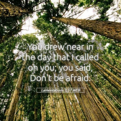Picture 05 - Lamentations 3:57 WEB - You drew near in the day that I called on you; - Bible Verse Picture