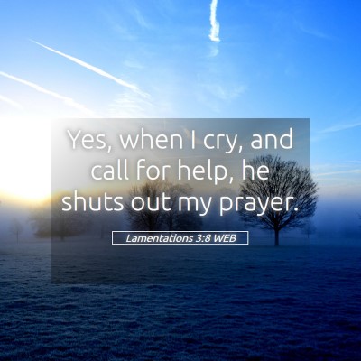 Picture 05 - Lamentations 3:8 WEB - Yes, when I cry, and call for help, he shuts out - Bible Verse Picture