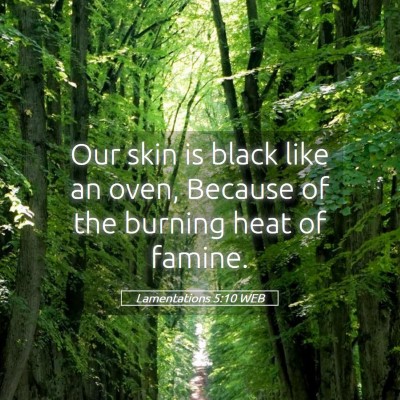 Picture 05 - Lamentations 5:10 WEB - Our skin is black like an oven, Because of the - Bible Verse Picture