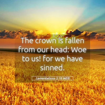 Picture 05 - Lamentations 5:16 WEB - The crown is fallen from our head: Woe to us! for - Bible Verse Picture