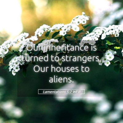 Picture 05 - Lamentations 5:2 WEB - Our inheritance is turned to strangers, Our - Bible Verse Picture