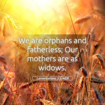 Picture 05 - Lamentations 5:3 WEB - We are orphans and fatherless; Our mothers are as - Bible Verse Picture