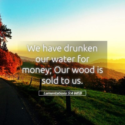 Picture 05 - Lamentations 5:4 WEB - We have drunken our water for money; Our wood is - Bible Verse Picture