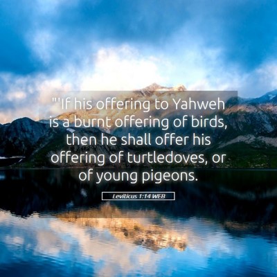 Picture 05 - Leviticus 1:14 WEB - 