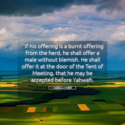Picture 05 - Leviticus 1:3 WEB - 