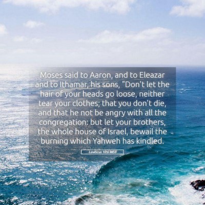 Picture 05 - Leviticus 10:6 WEB - Moses said to Aaron, and to Eleazar and to - Bible Verse Picture