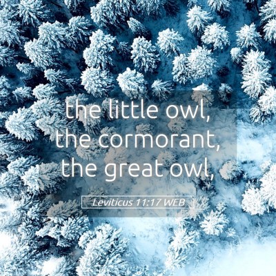 Picture 05 - Leviticus 11:17 WEB - the little owl, the cormorant, the great - Bible Verse Picture