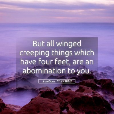 Picture 05 - Leviticus 11:23 WEB - But all winged creeping things which have four - Bible Verse Picture