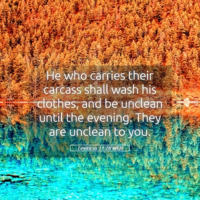 Picture 05 - Leviticus 11:28 WEB - He who carries their carcass shall wash his - Bible Verse Picture