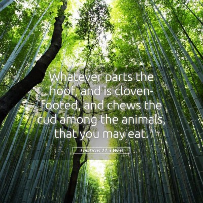 Picture 05 - Leviticus 11:3 WEB - Whatever parts the hoof, and is cloven-footed, - Bible Verse Picture