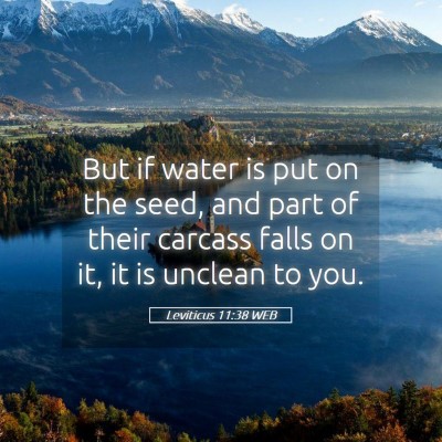 Picture 05 - Leviticus 11:38 WEB - But if water is put on the seed, and part of - Bible Verse Picture