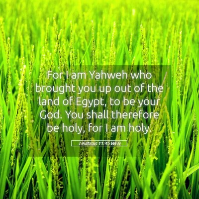 Picture 05 - Leviticus 11:45 WEB - For I am Yahweh who brought you up out of the - Bible Verse Picture