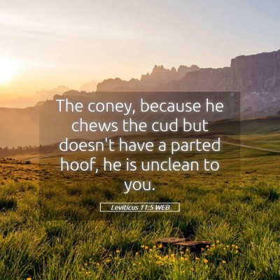 Picture 05 - Leviticus 11:5 WEB - The coney, because he chews the cud but doesn't - Bible Verse Picture