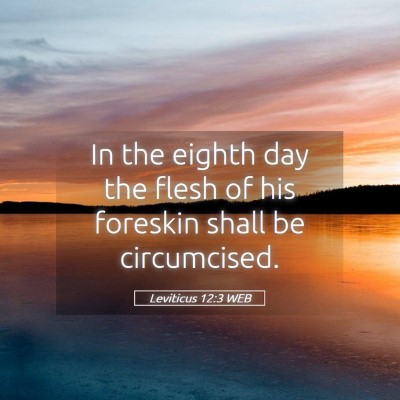 Picture 05 - Leviticus 12:3 WEB - In the eighth day the flesh of his foreskin shall - Bible Verse Picture
