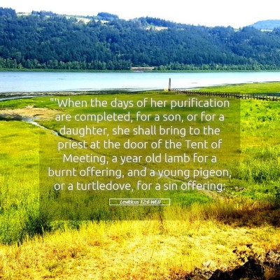 Picture 05 - Leviticus 12:6 WEB - 