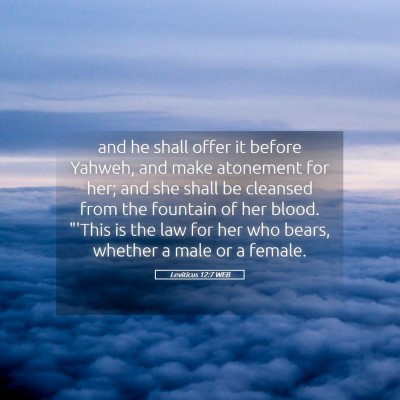Picture 05 - Leviticus 12:7 WEB - and he shall offer it before Yahweh, and make - Bible Verse Picture
