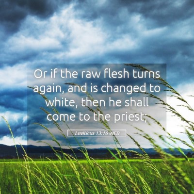 Picture 05 - Leviticus 13:16 WEB - Or if the raw flesh turns again, and is changed - Bible Verse Picture