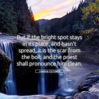 Picture 05 - Leviticus 13:23 WEB - But if the bright spot stays in its place, and - Bible Verse Picture