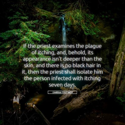 Picture 05 - Leviticus 13:31 WEB - If the priest examines the plague of itching, - Bible Verse Picture