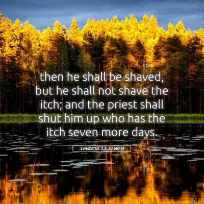 Picture 05 - Leviticus 13:33 WEB - then he shall be shaved, but he shall not shave - Bible Verse Picture