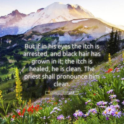 Picture 05 - Leviticus 13:37 WEB - But if in his eyes the itch is arrested, and - Bible Verse Picture