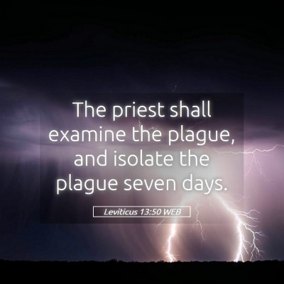 Picture 05 - Leviticus 13:50 WEB - The priest shall examine the plague, and isolate - Bible Verse Picture